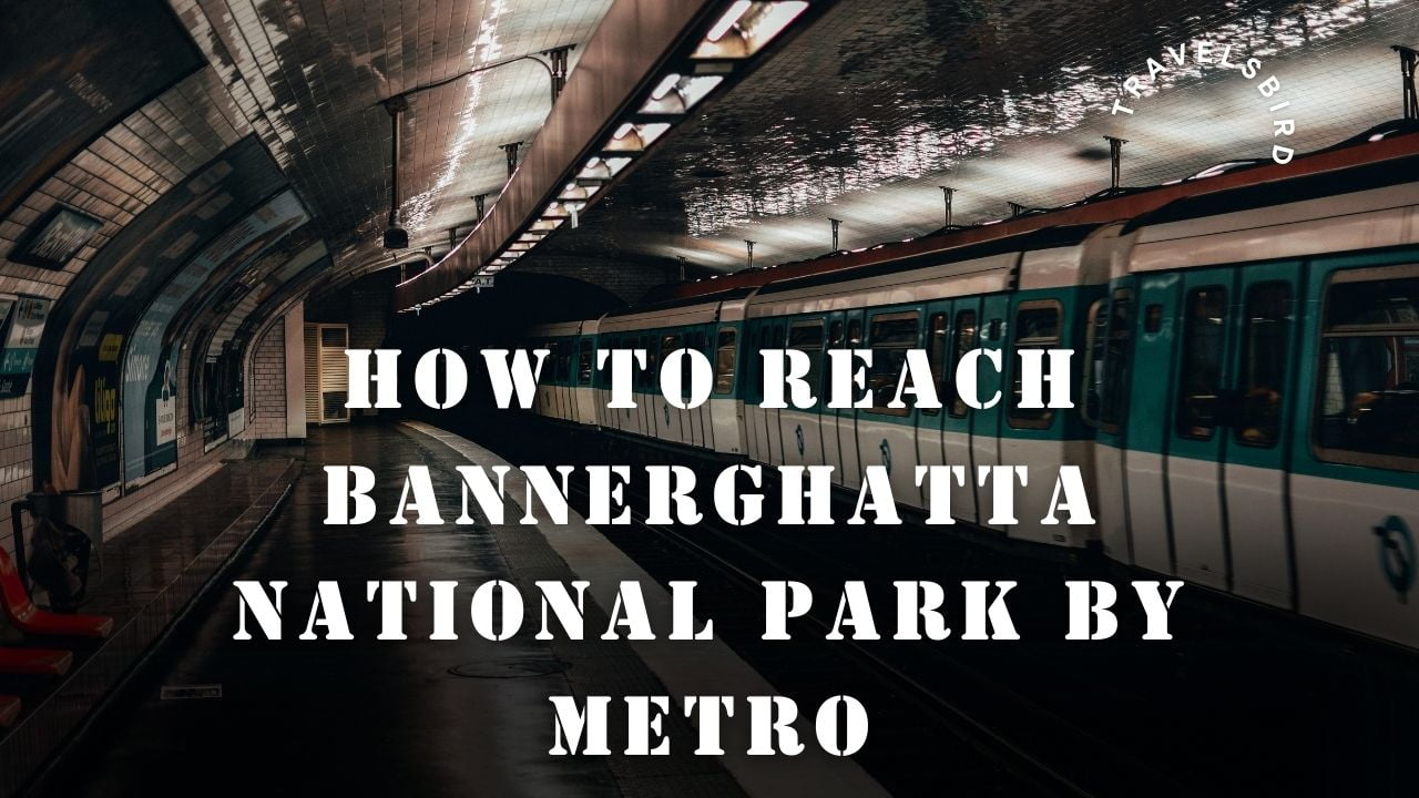 Read more about the article How To Reach Bannerghatta National Park By Metro? 10 Nearby Metro Stations