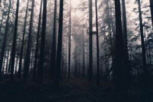 Read more about the article 8 Most Haunted Places In Bangalore To Get Thrilled