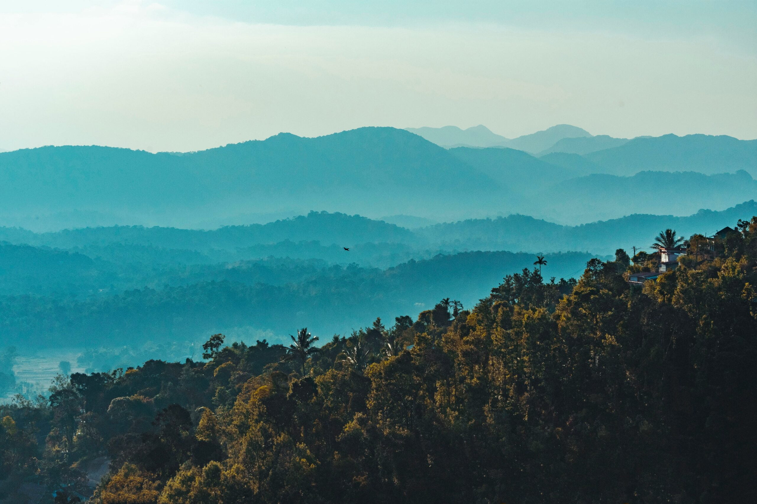 Read more about the article 10 Best Places In Coorg To Visit On Your Next Planned Trip