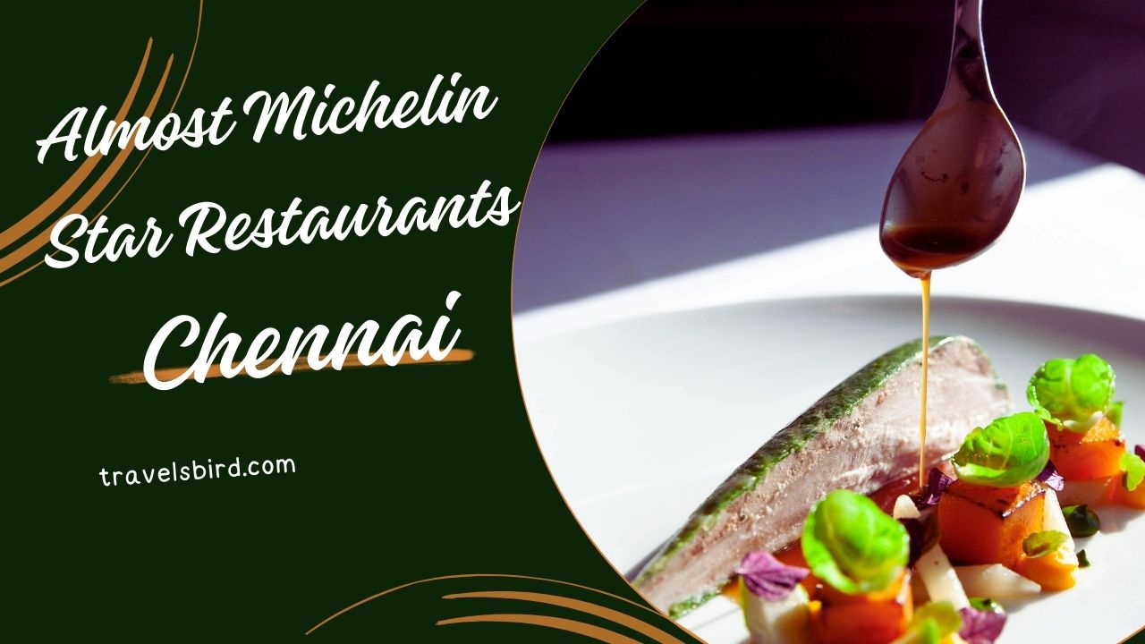 Read more about the article Best Almost Michelin Star Restaurants In Chennai, India