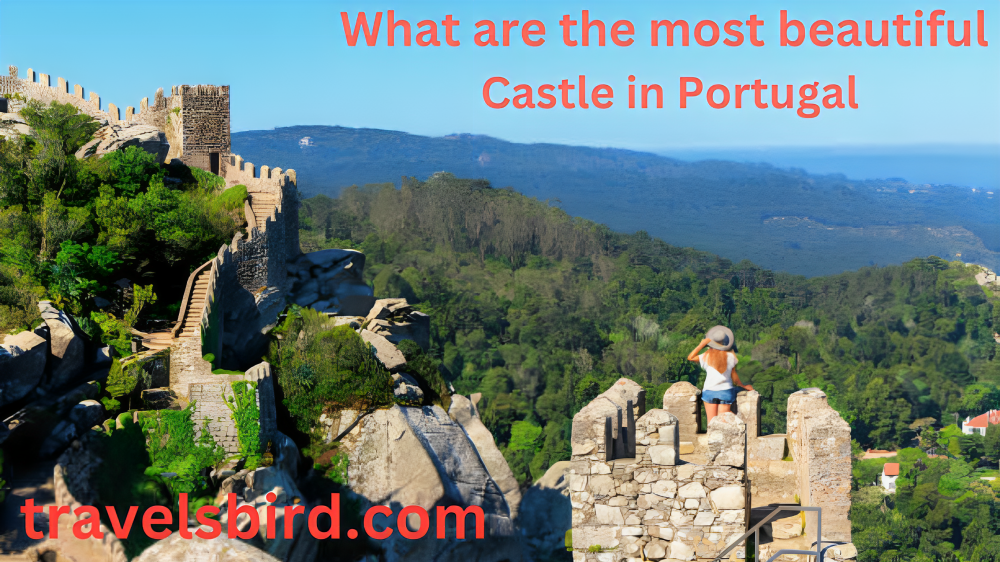 Read more about the article What are the most beautiful Castles in Portugal