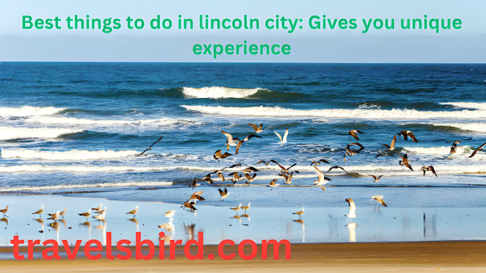 Read more about the article Best things to do in lincoln city Gives you unique experience